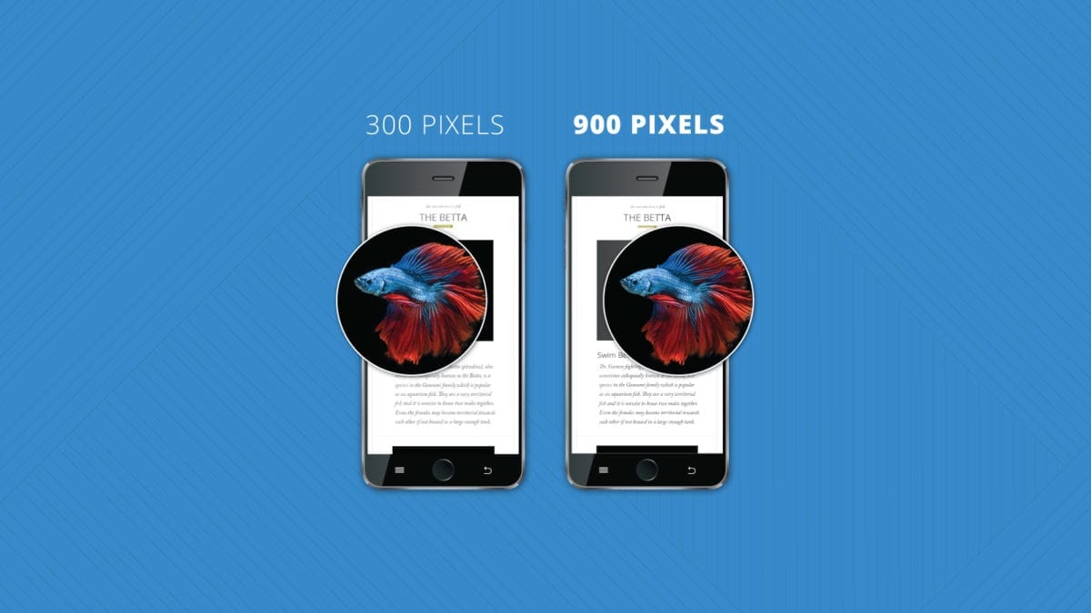Fluid Retina Images for Email