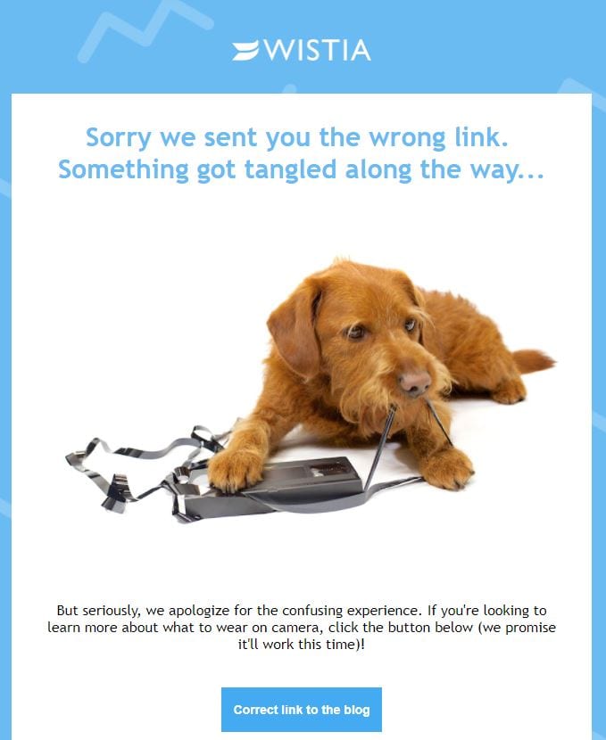 Wistia apology email example